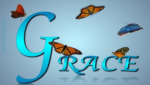 GRACE Butterfly (blue)